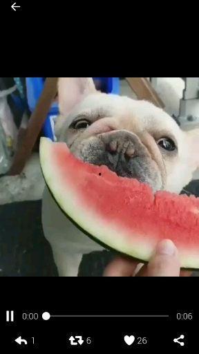 喜欢做吃瓜群众的心理,吃瓜群众眼中的明星幕后故事  第3张