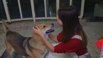 娱乐吃瓜酱狗子,揭秘娱乐圈那些不为人知的幕后故事 第3张 娱乐吃瓜酱狗子,揭秘娱乐圈那些不为人知的幕后故事 第3张