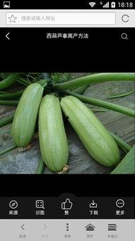 娱乐吃瓜资料来源于什么,揭秘娱乐圈吃瓜资料的来源与传播 第3张 娱乐吃瓜资料来源于什么,揭秘娱乐圈吃瓜资料的来源与传播 第3张