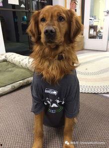 娱乐吃瓜汪星人是谁,网络红星的崛起之路 第3张 娱乐吃瓜汪星人是谁,网络红星的崛起之路 第3张