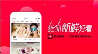 娱乐吃瓜视频剪映素材,娱乐吃瓜视频背后的精彩瞬间  第2张