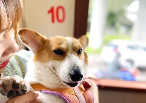 娱乐吃瓜爆料最新版下载,揭秘娱乐圈幕后真相! 第2张 娱乐吃瓜爆料最新版下载,揭秘娱乐圈幕后真相! 第2张