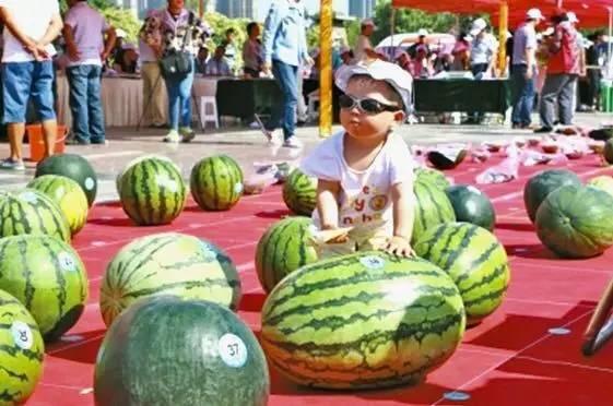 每日大赛 吃瓜入口,吃瓜入口，揭秘娱乐圈幕后风云  第2张