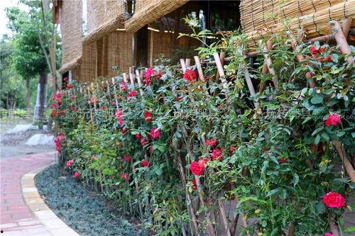 娱乐吃瓜酱花园,揭秘娱乐圈那些不为人知的幕后故事 第3张 娱乐吃瓜酱花园,揭秘娱乐圈那些不为人知的幕后故事 第3张