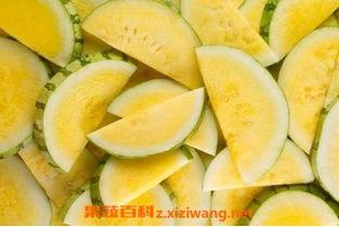 吃瓜百科在线,揭秘娱乐圈幕后真相与趣味故事 第3张 吃瓜百科在线,揭秘娱乐圈幕后真相与趣味故事 第3张