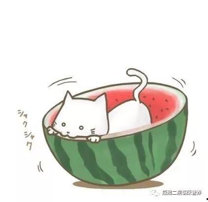 娱乐吃瓜头像图片图文大全,海量娱乐吃瓜头像图文大全 第2张 娱乐吃瓜头像图片图文大全,海量娱乐吃瓜头像图文大全 第2张