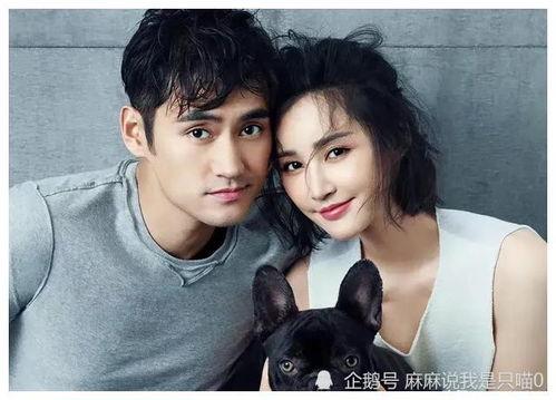 娱乐圈吃瓜爆料网剧有哪些 第3张 娱乐圈吃瓜爆料网剧有哪些 第3张