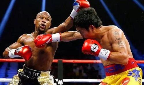 吃瓜娱乐拳击比赛视频在线观看,在线观看吃瓜娱乐拳击比赛精彩瞬间  第1张