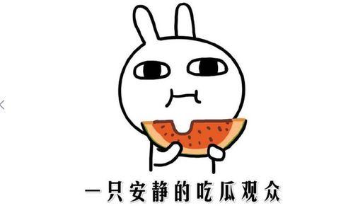 网上吃瓜的意思